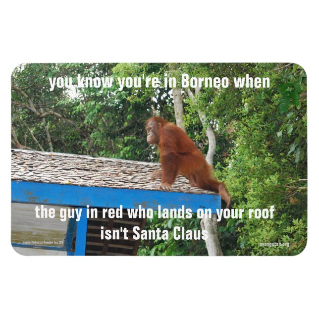 Animal Santa Claus Borneo Weihnachtsjokes Premium Magnet (Horizontal)
