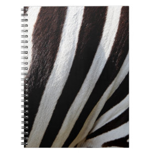 Animal zebra stripes mammal equine notizblock