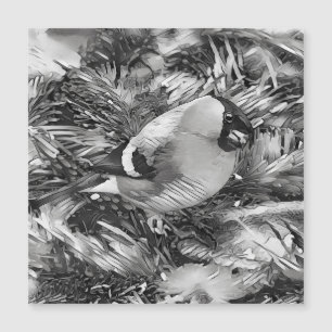 AnimalArtBW_Bird 001 -Bullfinch Magnetkarte