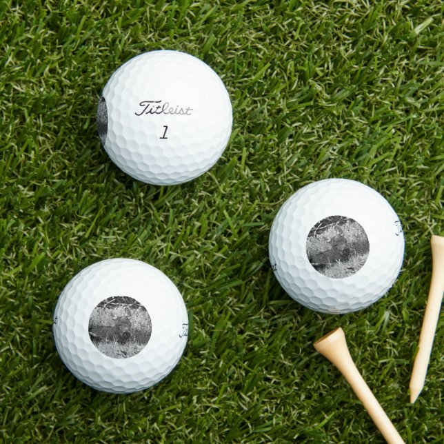 AnimalArtBW_Moose_001 Golfball (Insitu Gras)