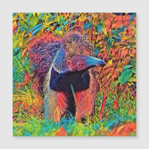 AnimalColor_Anteater_001 Magnetkarte