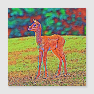 AnimalColor_Antilope_001 Magnetkarte