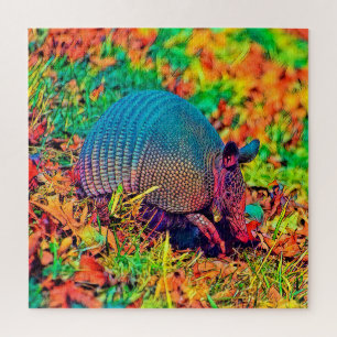AnimalColor_Armadillo_001