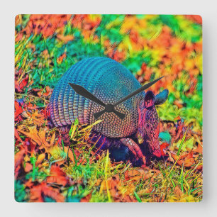 AnimalColor_Armadillo_001 Quadratische Wanduhr