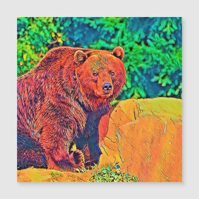 AnimalColor_Bear_001 Magnetkarte (Vorderseite)