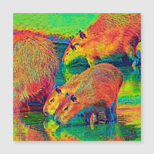 AnimalColor_Capybara_004 Magnetkarte