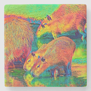 AnimalColor_Capybara_004 Steinuntersetzer