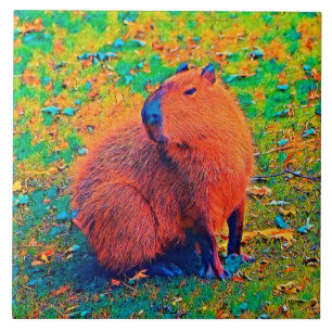 AnimalColor_Capybara_008 Fliese