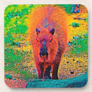 AnimalColor_Capybara_011 Getränkeuntersetzer