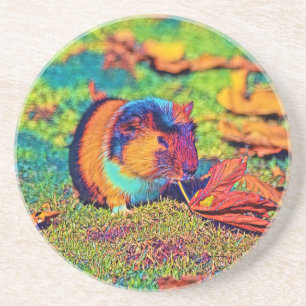 AnimalColor_Guineapig_001 Getränkeuntersetzer