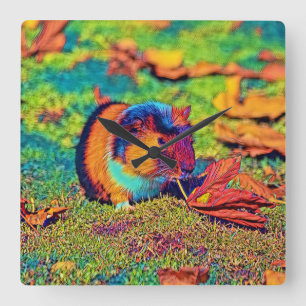AnimalColor_Guineapig_001 Quadratische Wanduhr