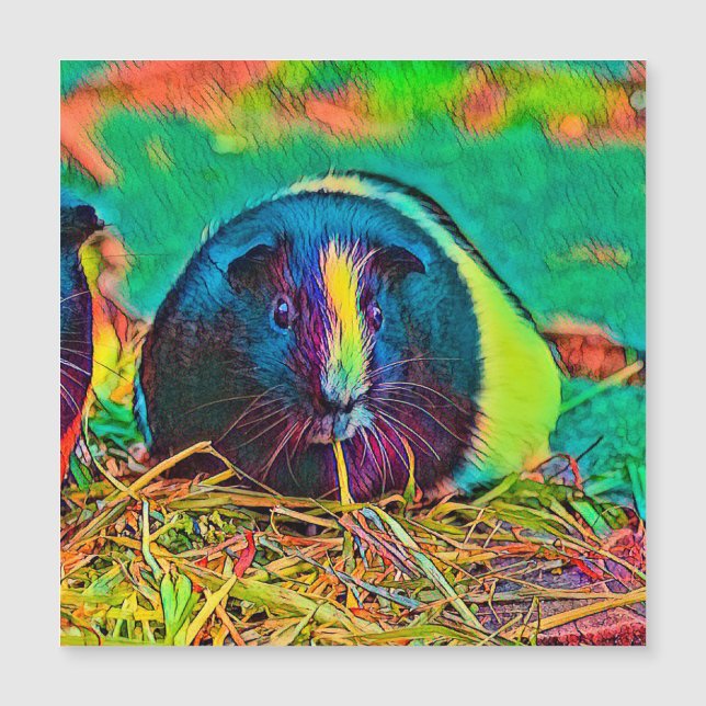 AnimalColor_Guineapig_002 Magnetkarte (Vorderseite)