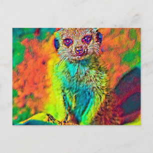 AnimalColor_Meerkat_015 Postkarte