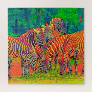 AnimalColor_Zebra_002