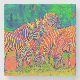 AnimalColor_Zebra_002 Steinuntersetzer