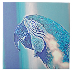 AnimalMix_Bird_009 Fliese