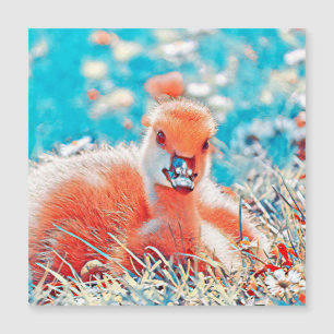 AnimalMix_Bird_019 Magnetkarte