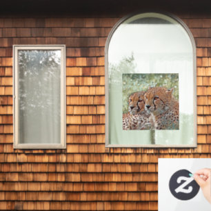 AnimalMix_Cheetah_031 Fensteraufkleber