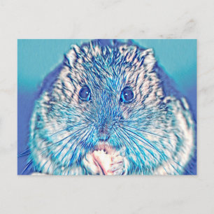 AnimalMix_Hamster_003 Postkarte