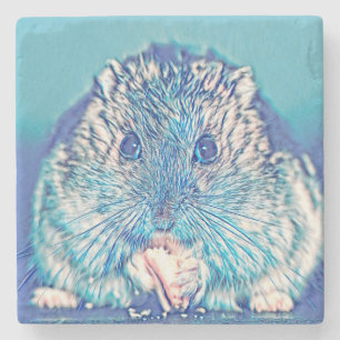 AnimalMix_Hamster_003 Steinuntersetzer