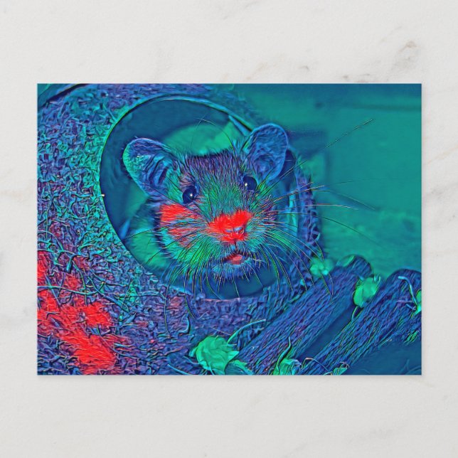 AnimalMix_Hamster_005 Postkarte (Vorderseite)