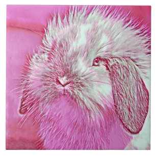 AnimalMix_Rabbit_008 Fliese