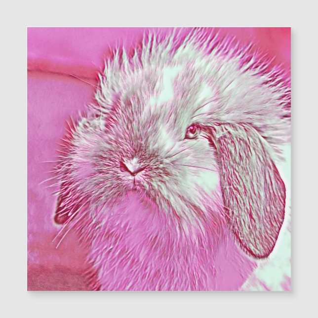 AnimalMix_Rabbit_008 Magnetkarte (Vorderseite)