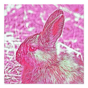 AnimalMix_Rabbit_013_by_JAMColors Fotodruck