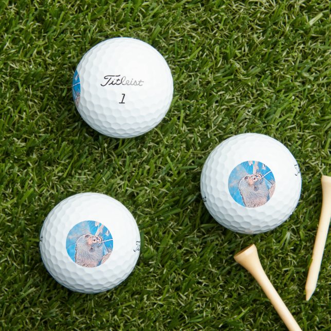AnimalMix_Sloth_001 Golfball (Insitu Gras)