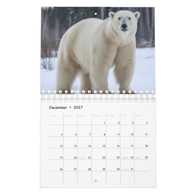 Animals image calendar  kalender (Dez 2027)