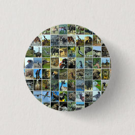 Animals of the world button