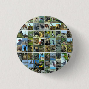 Animals of the world button