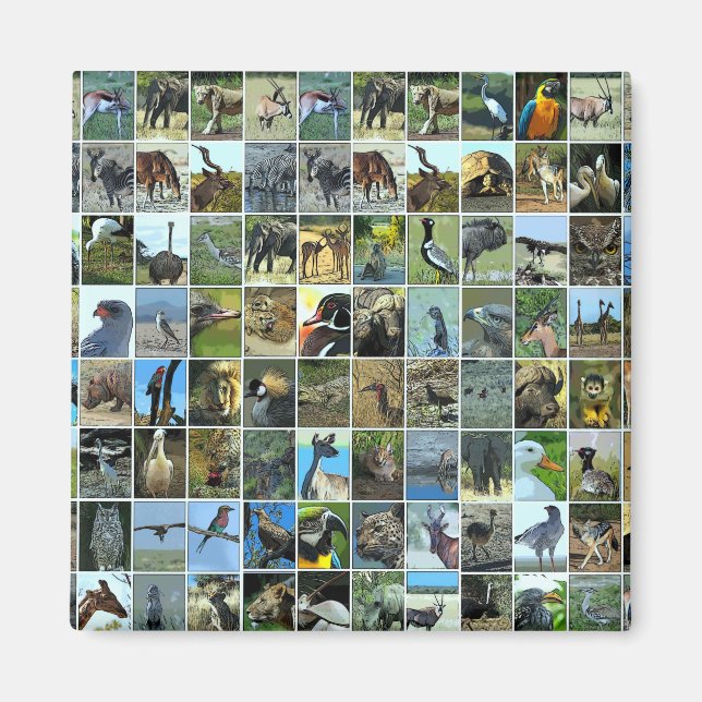 Animals of the world magnet (Vorne)