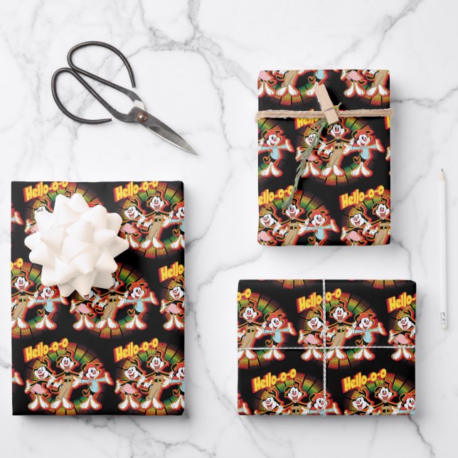 Animaniacs | Hello-o-o Retro Equalizer Graphic Geschenkpapier Set (Vorderseite)
