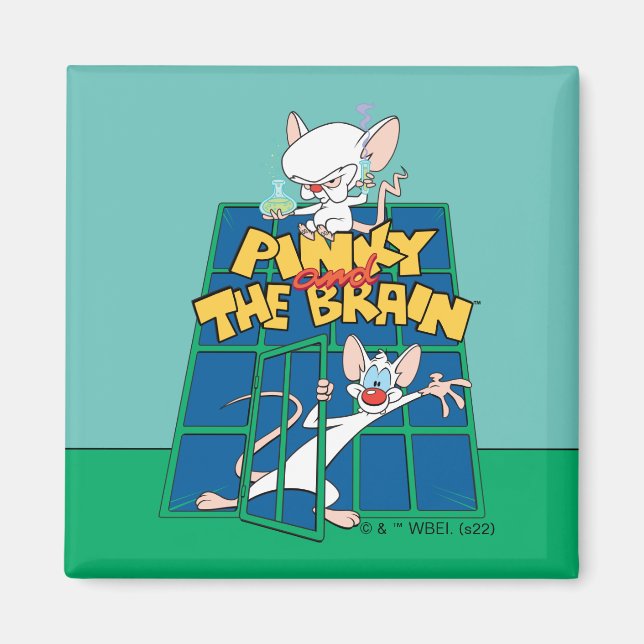 Animaniacs | Pinky und The Brain Cage Graphic Magnet (Vorne)