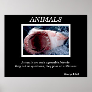 Animaux Affiches 28