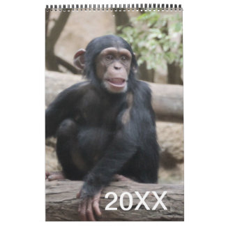 Animaux Calendrier 20XX