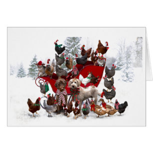ANIMAUX DE BARNYARD AVEC CARTE DE NOËL SLEIGH