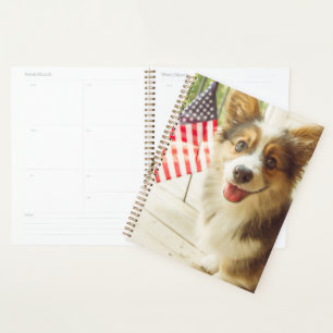 Animaux de bébés cutest American Flag Corgi