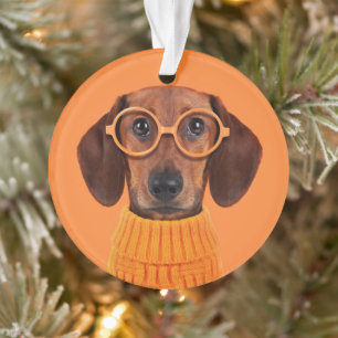 Animaux de bébés cutest Chandail orange Dachshun