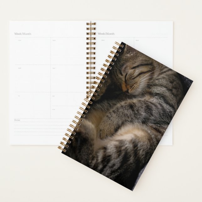 Animaux de bébés cutest | Chat Tabby Dormant (Devant avec enveloppe)