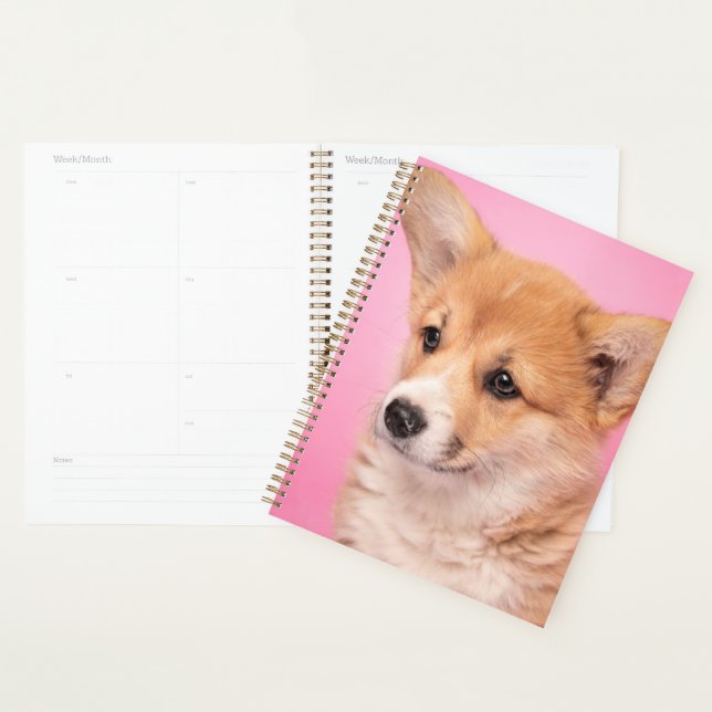 Animaux de bébés cutest | Corgi Chiot rose (Devant avec enveloppe)
