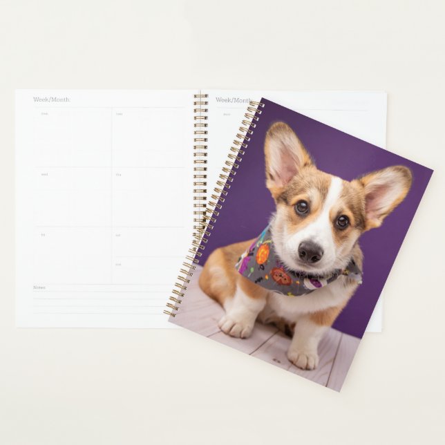 Animaux de bébés cutest | Halloween Corgi (Devant avec enveloppe)