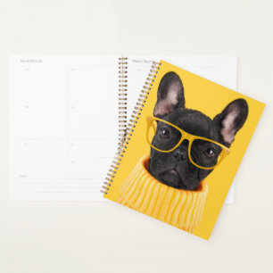 Animaux de bébés cutest   Lunettes de soleil pour 