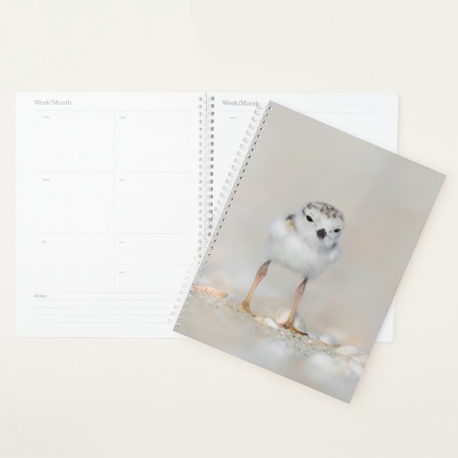 Animaux de bébés cutest | Poussette de tuyauterie (Devant avec enveloppe)
