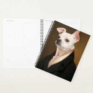 Animaux de bébés cutest Royal Chihuahua Portrait