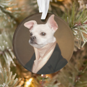 Animaux de bébés cutest   Royal Chihuahua Portrait