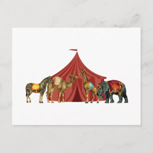 Animaux De Cirque Et Carte Postale Tente