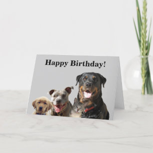 Animaux de compagnie adorables de la carte d'anniv