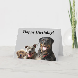 Animaux de compagnie adorables de la carte d'anniv